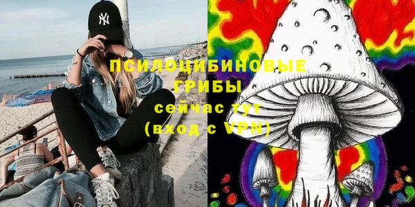 PSILOCYBIN Лихославль