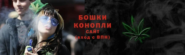PSILOCYBIN Лихославль