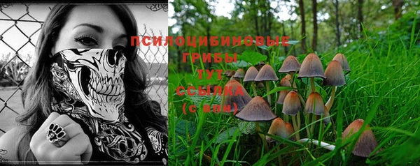 синтетический гашиш Липки