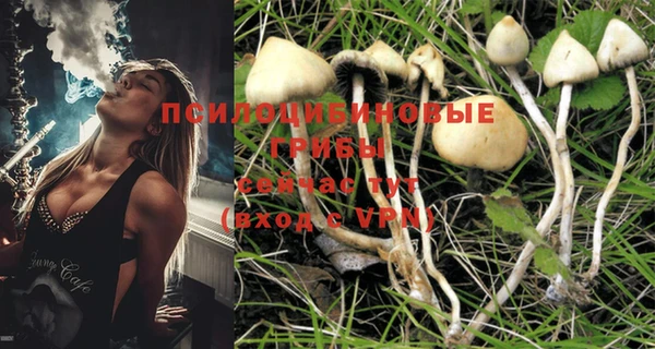 PSILOCYBIN Лихославль