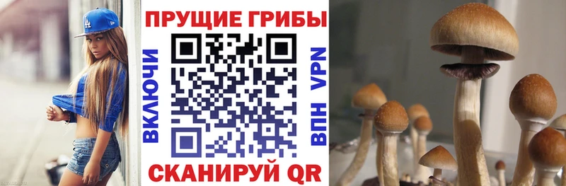 Галлюциногенные грибы Cubensis  Купить  Грозный 