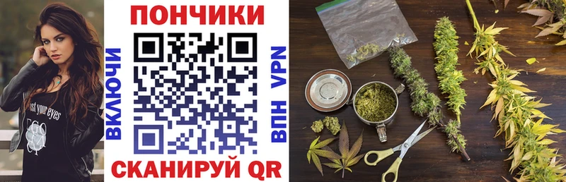 Купить Грозный Канабис Amnesia